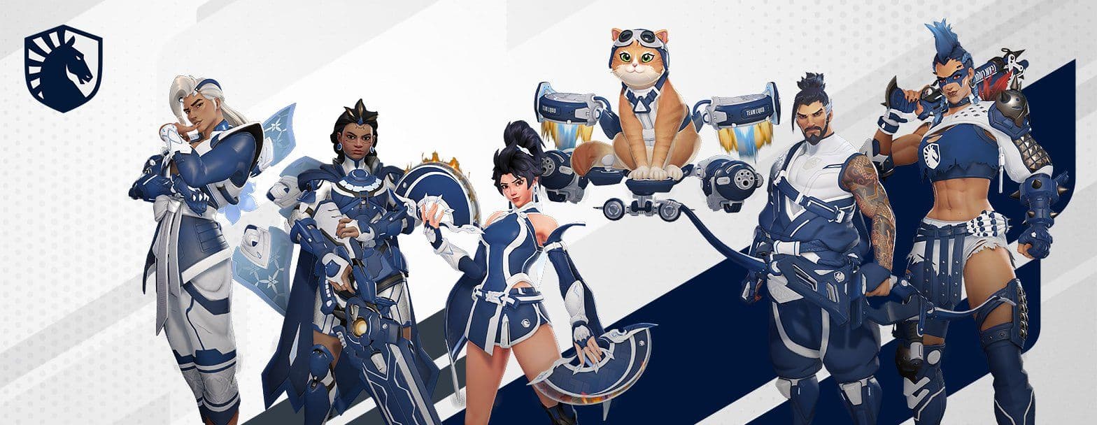 Team Liquid OWCS Team Skins