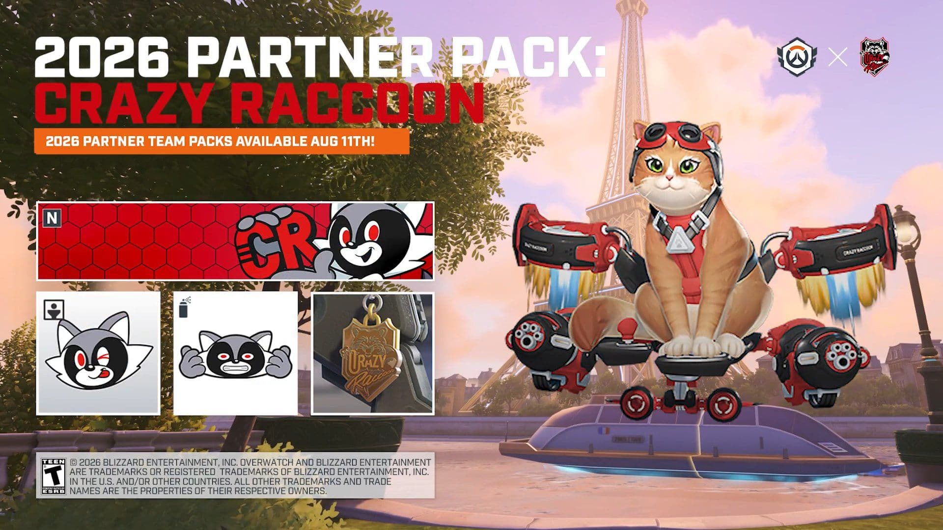 Crazy Raccoon OWCS Team Skins