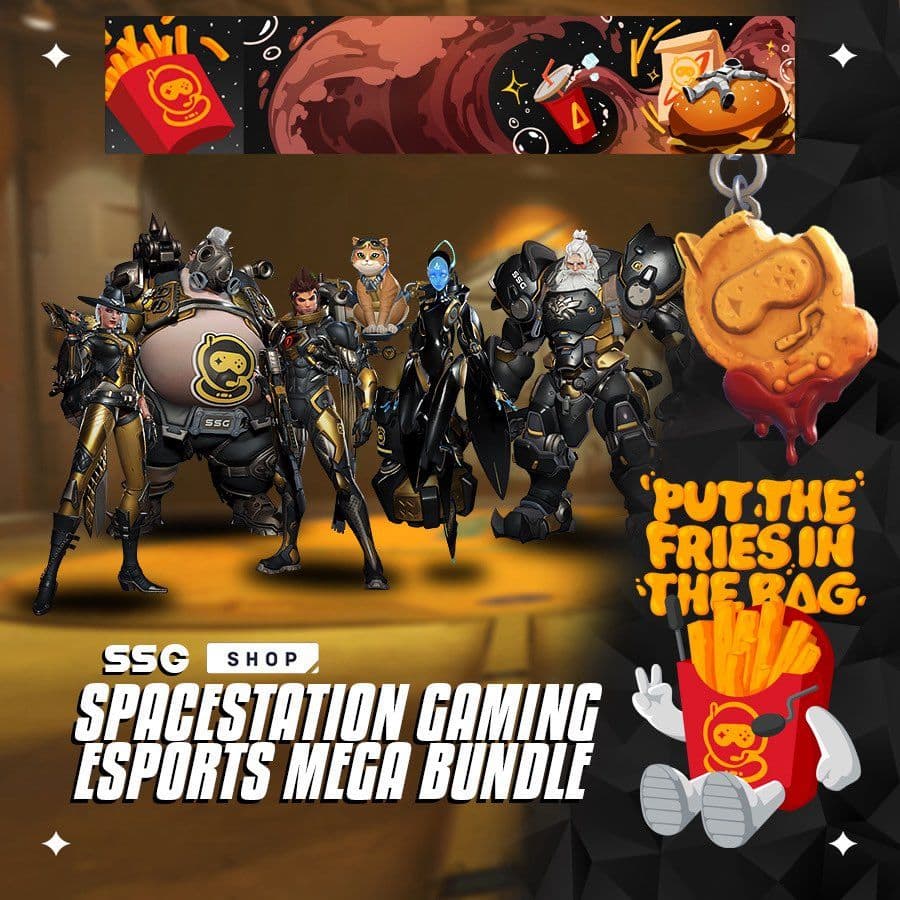 Spacestation Gaming OWCS Team Skins