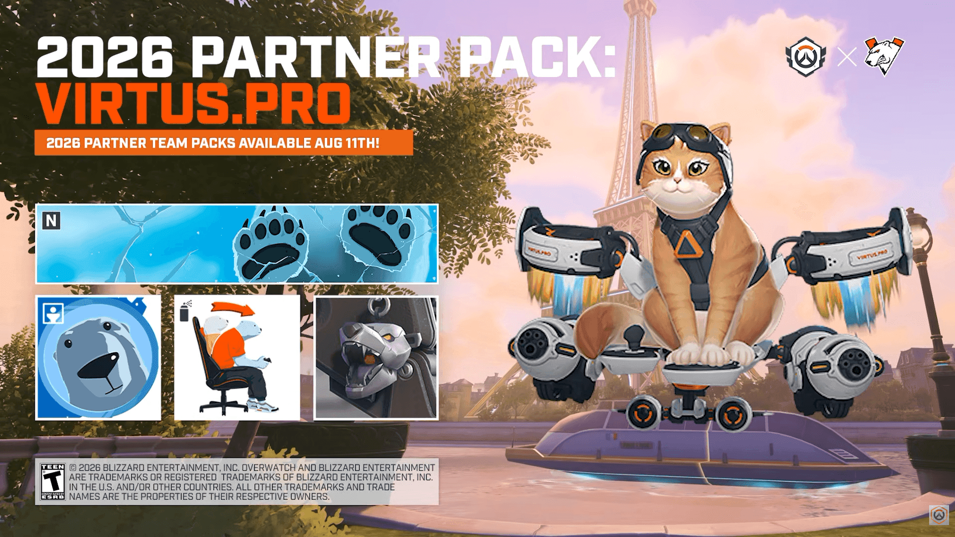 Virtus Pro OWCS Team Skins