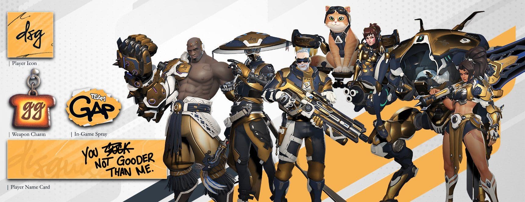 Disguised DSG OWCS Team Skins