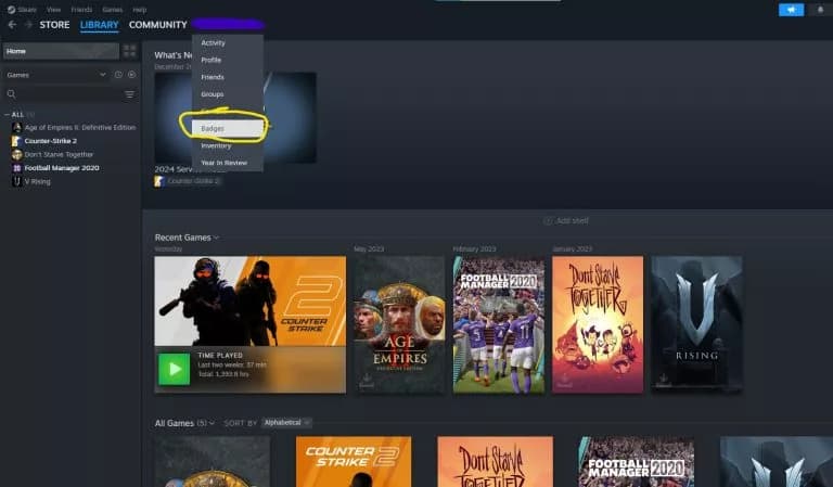 How Much Have I Spent in CS2?