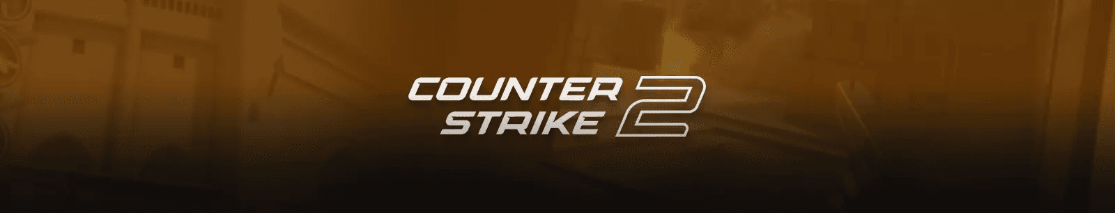 counter-strike banner