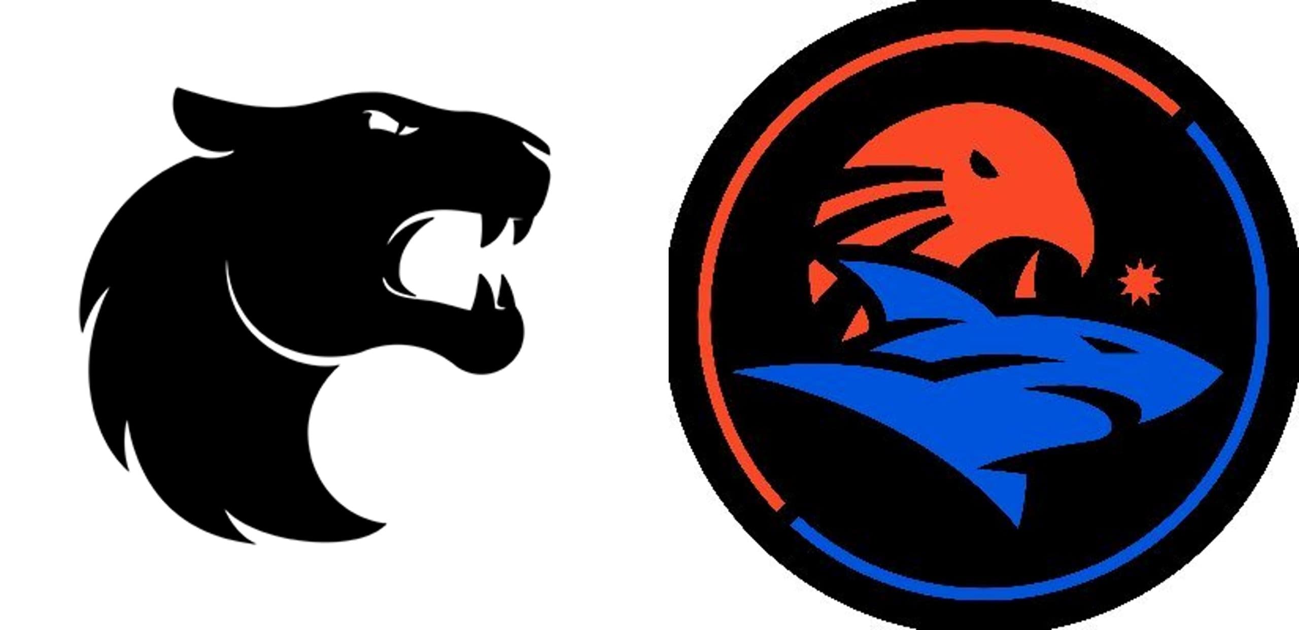 Furia ou Isurus? Chave Inferior definirá adversário da paiN na LTA Sul