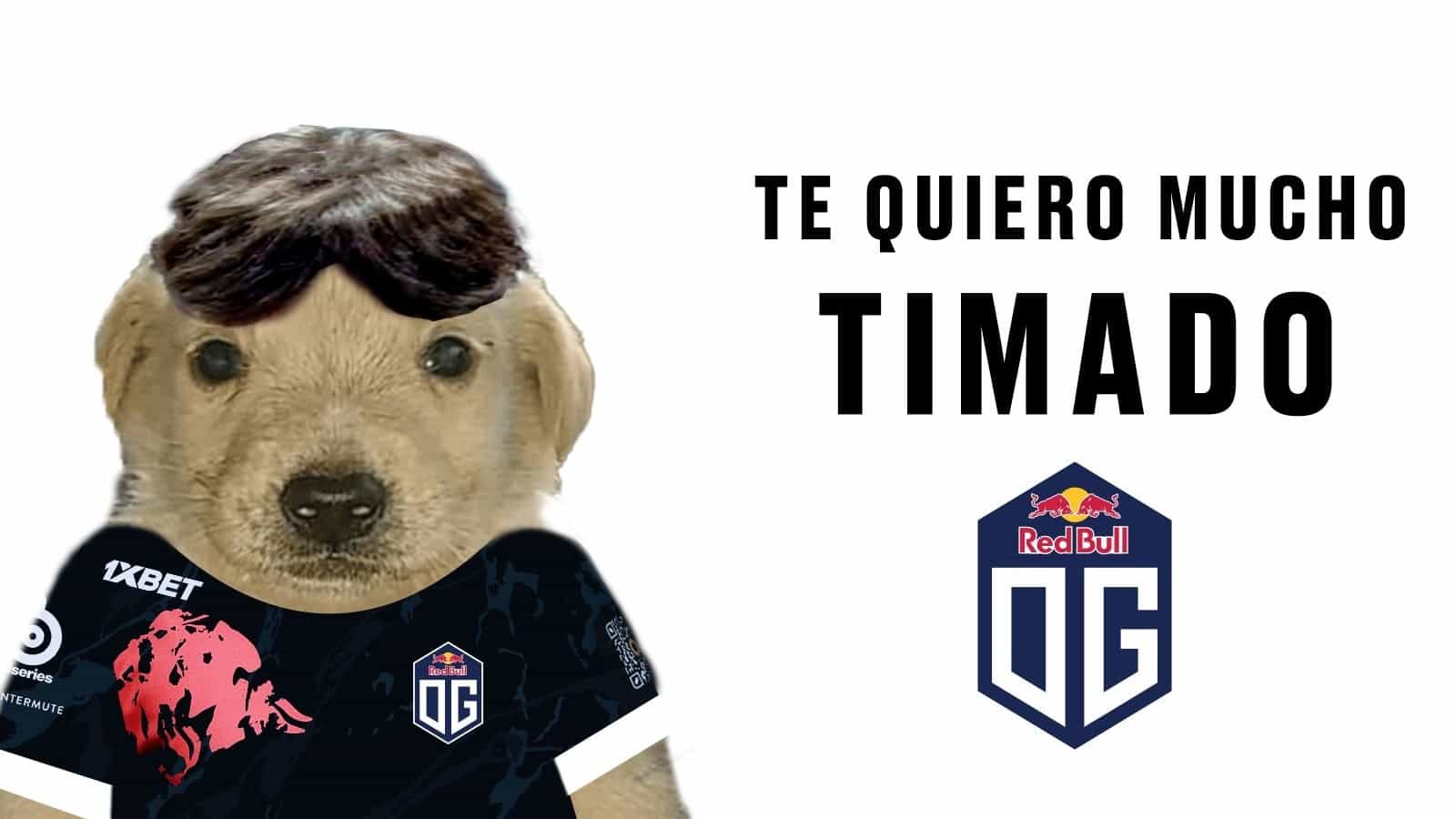 Ceb confirma Timado como membro definitivo da OG