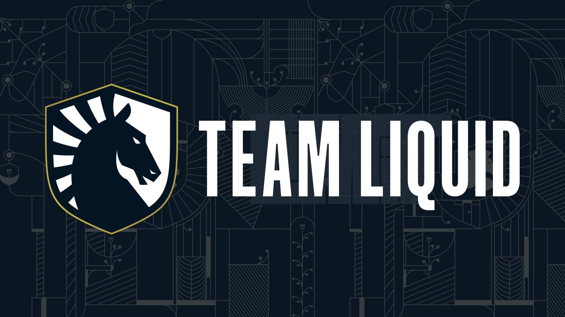 Team Liquid perde TODO o patrocínio da Honda após post ofensivo de jogador do R6S