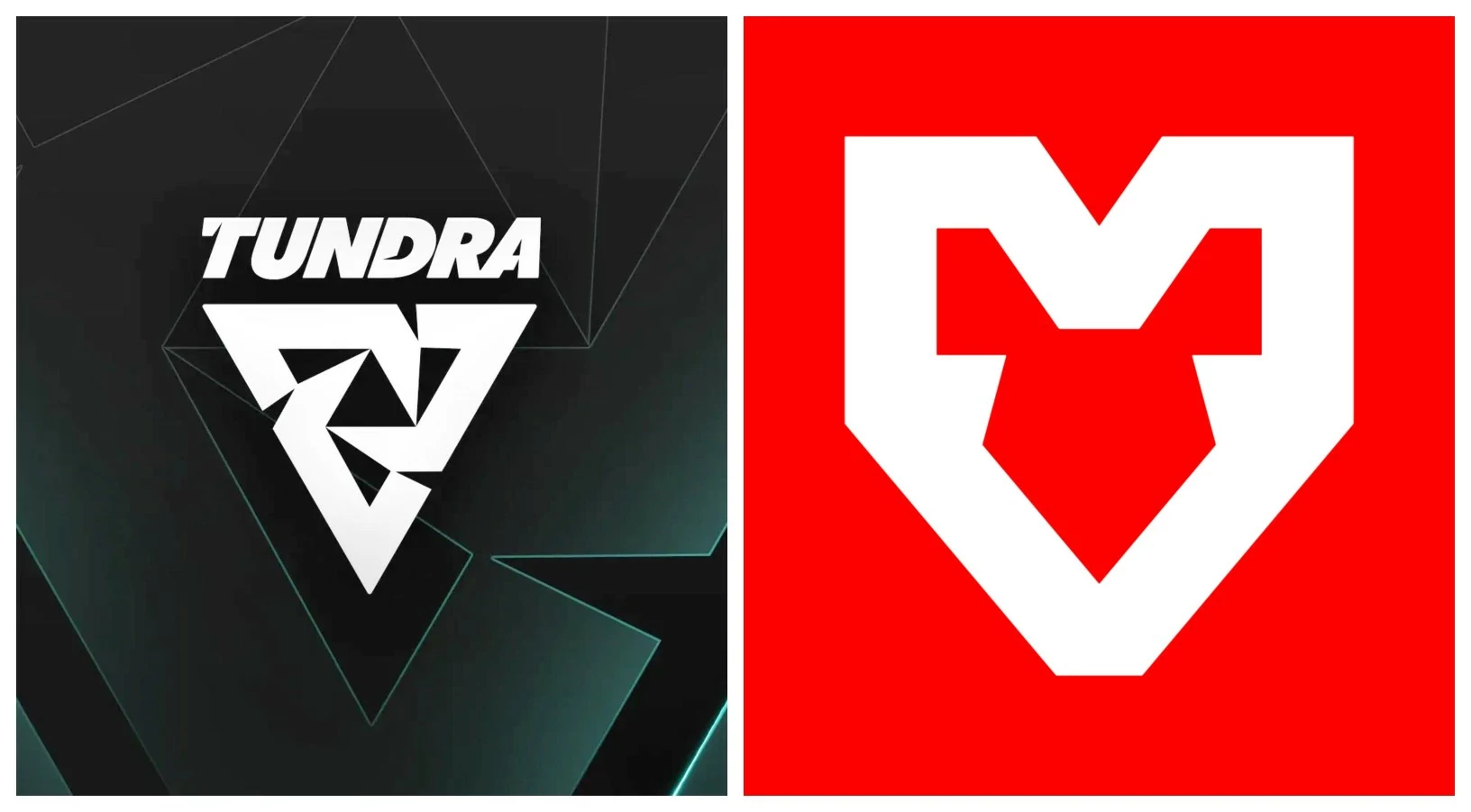 Tundra versus MOUZ é a partida em destaque do primeiro dia de grupos.