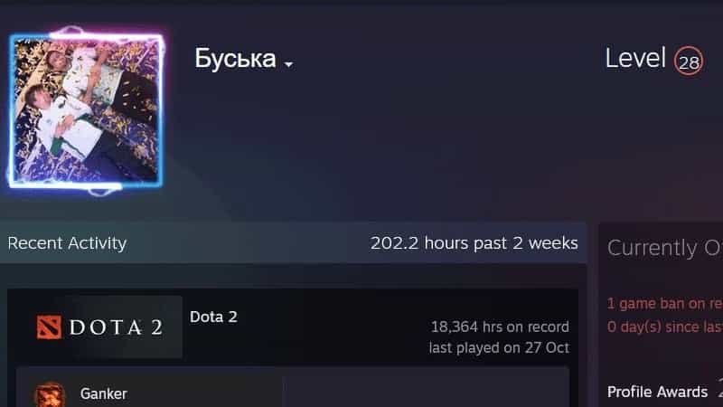 Malr1ne é Banido do Dota 2 Por Engano