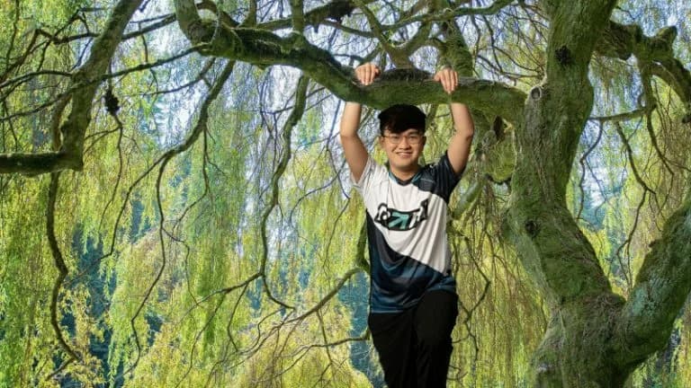 Entity Offlaner Gabbi.Credits: Twitter.@EntityDota