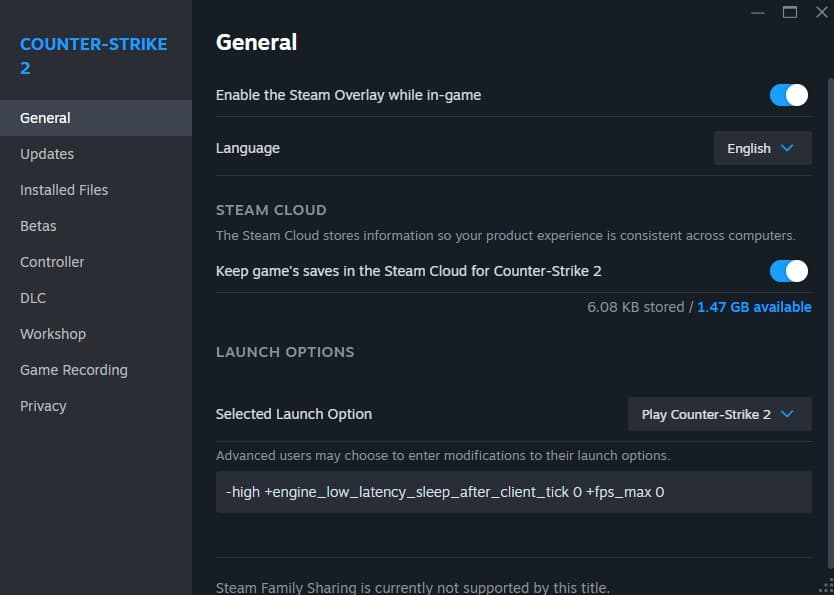 Launch Options for Counter-Strike 2