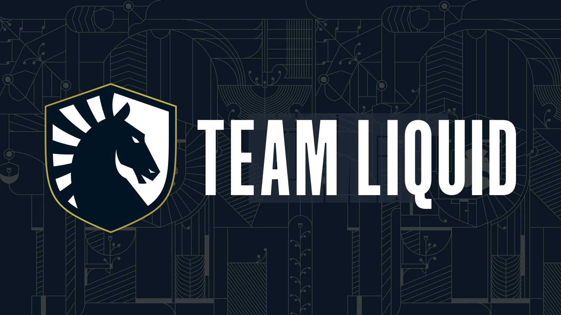 Team Liquid loses Honda Sponsorship after offensive Social Media post