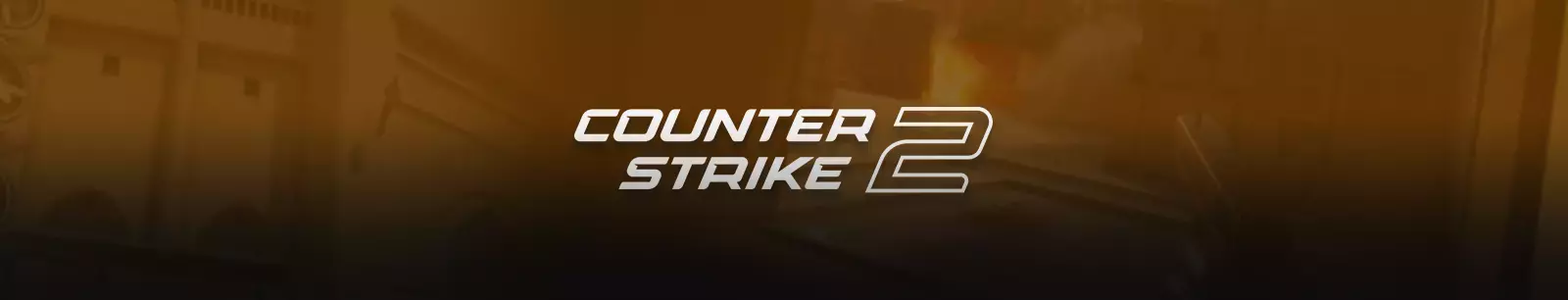 counter-strike banner