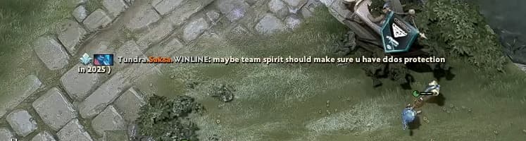 Saksa taking jabs at Team Spirit.