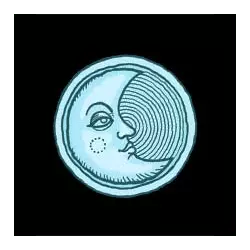 Icon 7