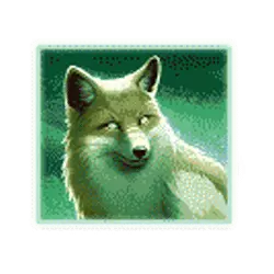 Icon 5