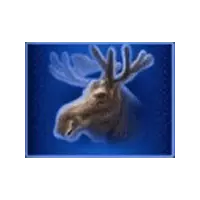 Moose
