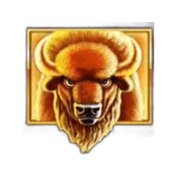Buffalo