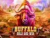 Buffalo Hold And Win