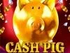 Cash Pig