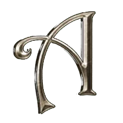 Icon 8