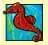 Seahorse