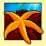 Starfish