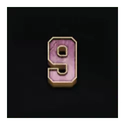 Icon 11