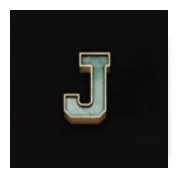 Icon 9