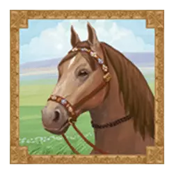 Icon 5