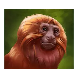 Icon 4