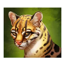 Icon 3