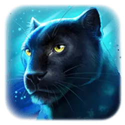 Icon 3