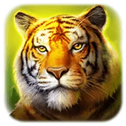 Icon 2