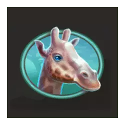 Icon 5