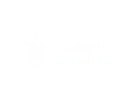High5Casino