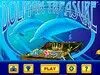 Dolphin Treasure