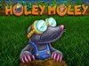 Holey Moley