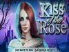 Kiss of the Rose