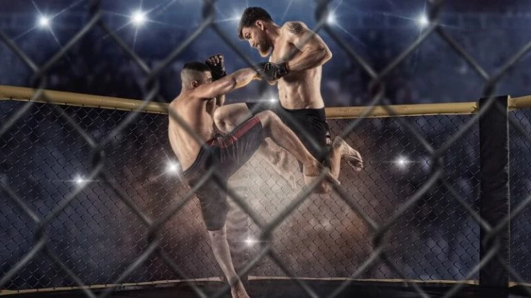 UFC