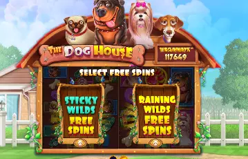 Stake Slots 2025 | The Best Slot Games on Stake.com [RTP]